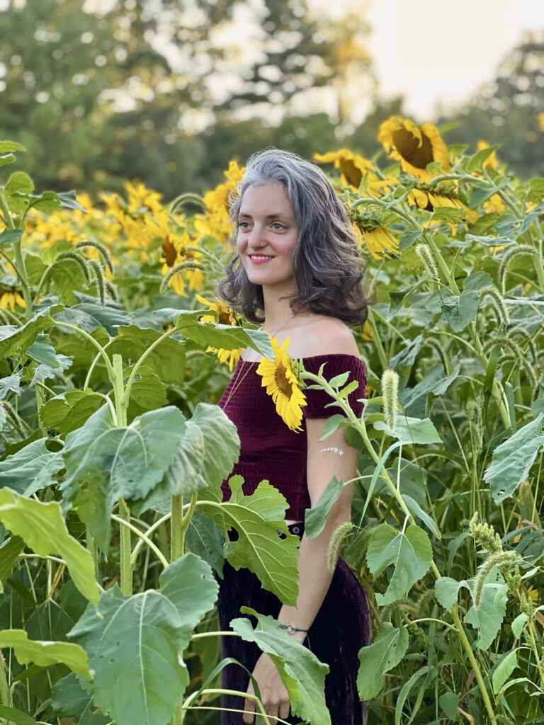 sunflower profile